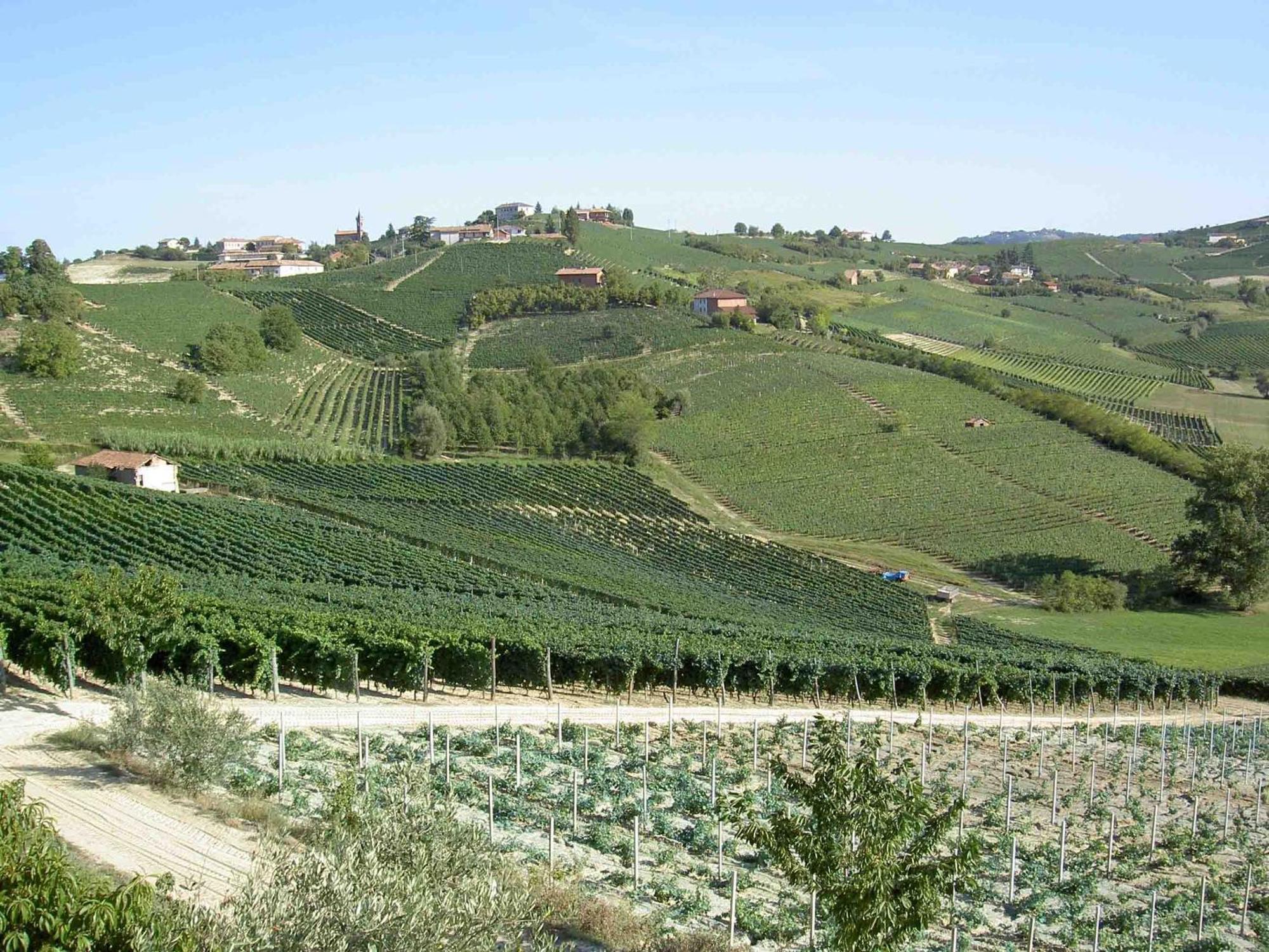 Agriturismo Vecchio Torchio カネッリ エクステリア 写真
