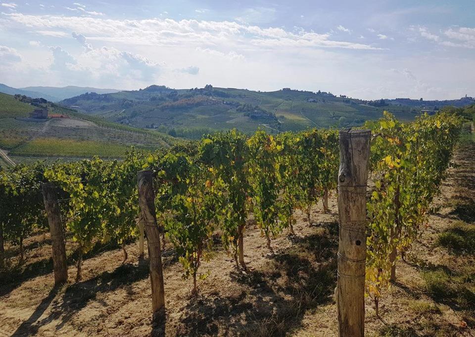 Agriturismo Vecchio Torchio カネッリ エクステリア 写真